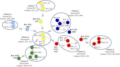 Comparative Microbiological and Whole-Genome Analysis of Staphylococcus aureus Populations in the Oro-Nasal Cavities, Skin and Diabetic Foot Ulcers of Patients With Type 2 Diabetes Reveals a Possible Oro-Nasal Reservoir for Ulcer Infection